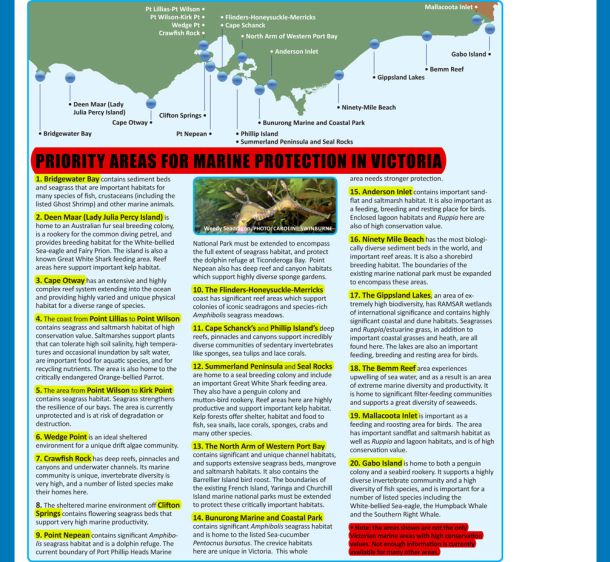 VRFish welcomes rejection of MP proposal